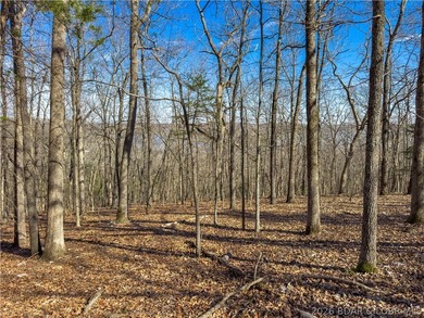5.7 Acres that is wooded and a great parcel for your Lake View - photo 25