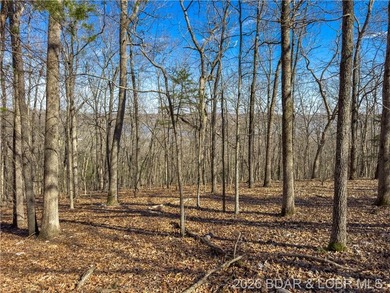 5.7 Acres that is wooded and a great parcel for your Lake View - photo 25