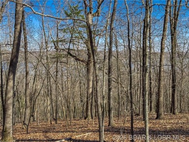 5.7 Acres that is wooded and a great parcel for your Lake View - photo 26