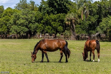 Where Acreage Meets Elegance on the River - An Iconic Alva - photo 33