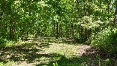 A nice mixture of open ground and mature timber with a few fruit - photo 4