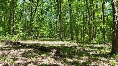A nice mixture of open ground and mature timber with a few fruit - photo 5