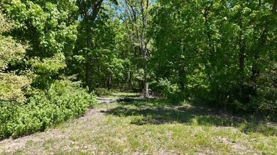 A nice mixture of open ground and mature timber with a few fruit - photo 9