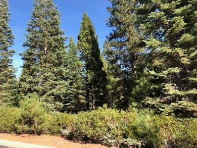 Lake Lot For Sale in Lake Almanor, California