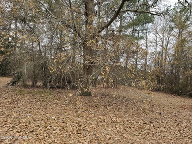 Chowan River Lot For Sale in Edenton North Carolina