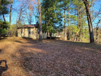 Lake Home Sale Pending in Idlewild, Michigan