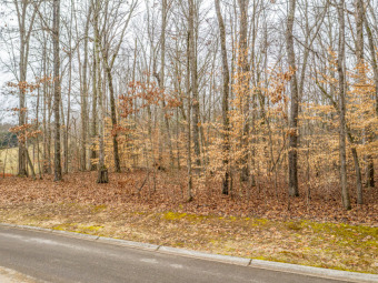 1 Acre Building Lot in Grainger Landing - Lake Lot Under Contract in Rutledge, Tennessee