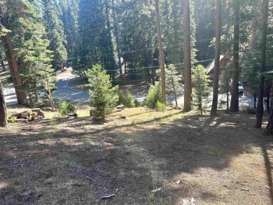 Lake Almanor Lot For Sale in Lake Almanor California