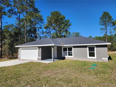 Bonable Lake Home Sale Pending in Dunnellon Florida
