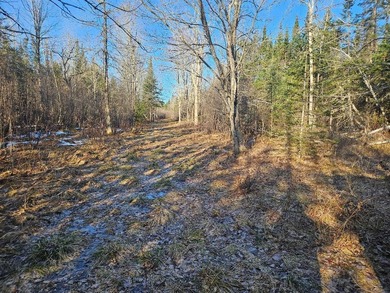 A beautiful location is ready for building with power at the - photo 13