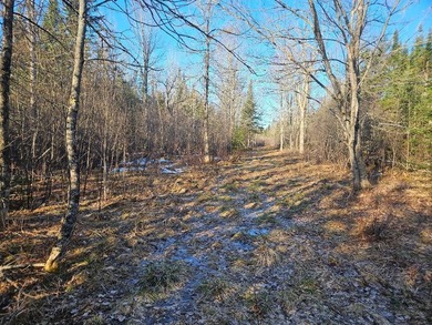 A beautiful location is ready for building with power at the - photo 14