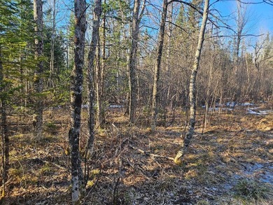 A beautiful location is ready for building with power at the - photo 15