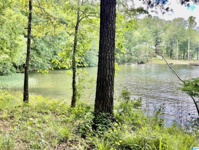 Logan Martin Lake Acreage For Sale in County Alabama