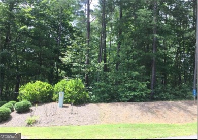 Lake Acreage For Sale in Ellijay, Georgia