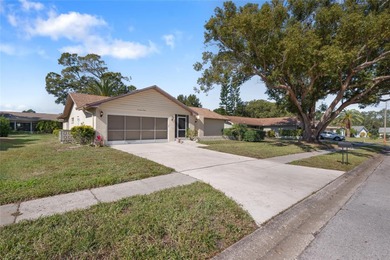 Lake Tarpon Home For Sale in Palm Harbor Florida
