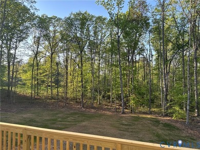 MOVE IN READY! Easy living at Lake Anna awaits! This brand new - photo 11
