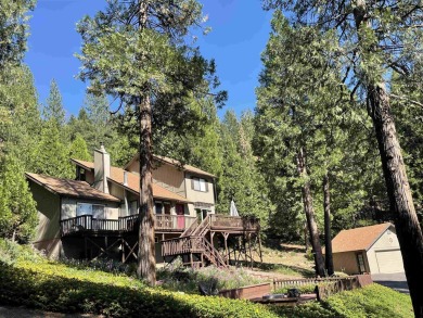 Lake Home For Sale in Lake Almanor, California