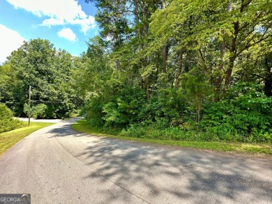 Lake Hartwell Lot For Sale in Martin Georgia