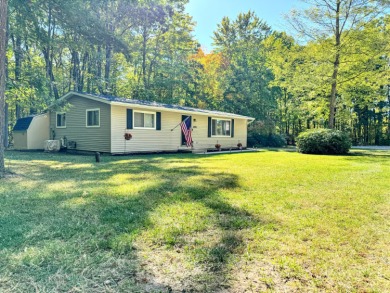 Lake Home For Sale in Stanwood, Michigan