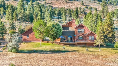 Lake Davis Home For Sale in Portola California