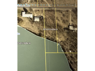 Lake Lot For Sale in Coral, Michigan
