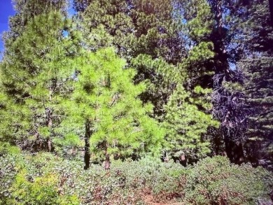 Lake Lot For Sale in Lake Almanor, California