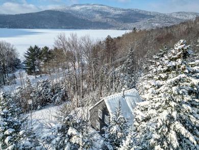 Beaver Mountain Lake Home For Sale in Sandy River Plt Maine