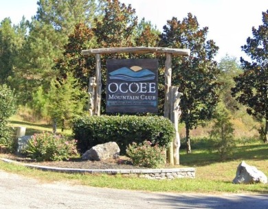 Lake Lot For Sale in Ocoee, Tennessee