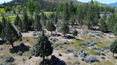 Lake Lot For Sale in Weed, California