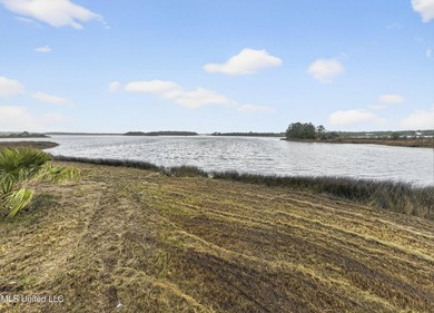 Very hard to find 5.6 acres of prime waterfront property on a - photo 11