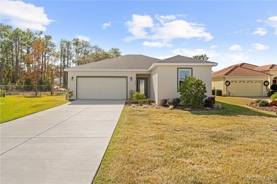Ready for Immediate Occupancy! This brand-new 3-bedroom - photo 6