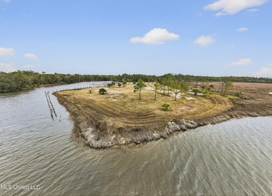 Very hard to find 5.6 acres of prime waterfront property on a - photo 21