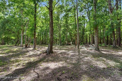 ***BUILD YOUR DREAM HOME HERE...Tucked away on approximately 3 - photo 10