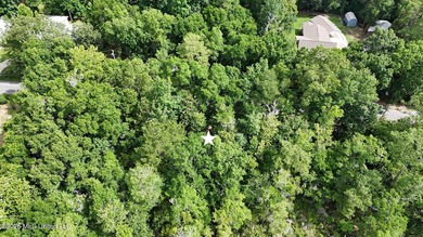 Build your dream home in the desirable Gulf Park Estates - photo 5