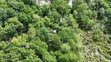 Build your dream home in the desirable Gulf Park Estates - photo 6