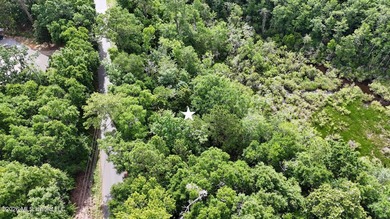 Build your dream home in the desirable Gulf Park Estates - photo 7
