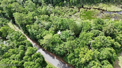 Build your dream home in the desirable Gulf Park Estates - photo 8