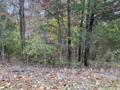 Lot For Sale - photo 4