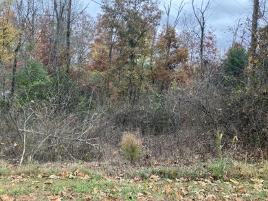 Lot For Sale - photo 2