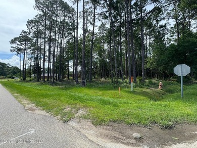 Two parcels, .65 acres of land offered just north of Highway 90 - photo 1