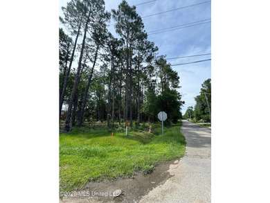 Two parcels, .65 acres of land offered just north of Highway 90 - photo 2