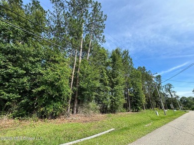 Two parcels, .65 acres of land offered just north of Highway 90 - photo 3