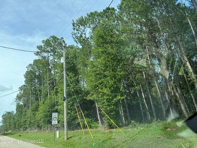 Two parcels, .65 acres of land offered just north of Highway 90 - photo 4