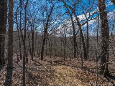 14.9 wooded Acres on paved road. Private and peaceful acreage - photo 11