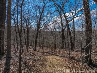 14.9 wooded Acres on paved road. Private and peaceful acreage - photo 11