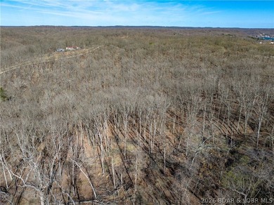 14.9 wooded Acres on paved road. Private and peaceful acreage - photo 13