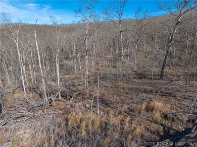 14.9 wooded Acres on paved road. Private and peaceful acreage - photo 14