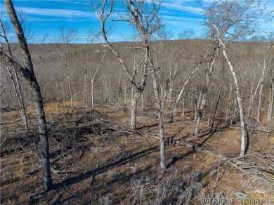 14.9 wooded Acres on paved road. Private and peaceful acreage - photo 15