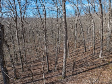 14.9 wooded Acres on paved road. Private and peaceful acreage - photo 16