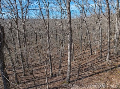 14.9 wooded Acres on paved road. Private and peaceful acreage - photo 16